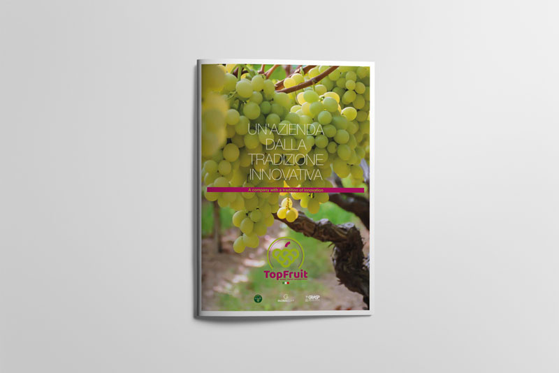 immagine lavoro realizzato per un cliente