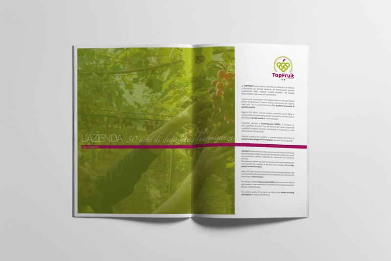 immagine lavoro realizzato per un cliente