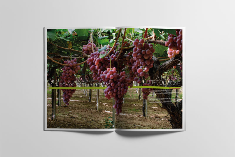 immagine lavoro realizzato per un cliente