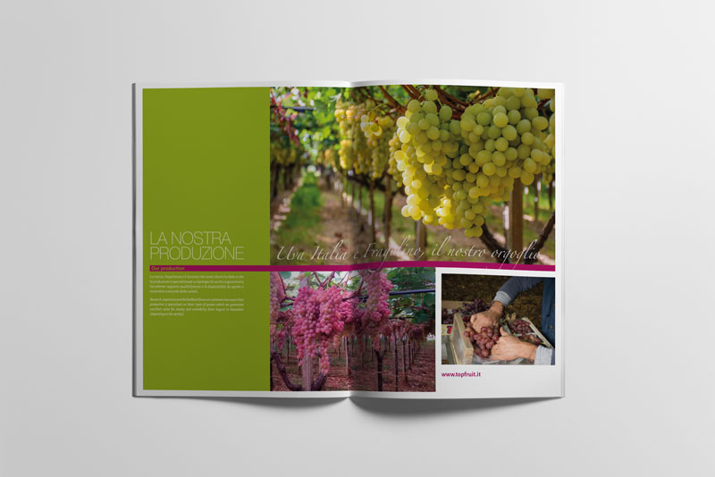 immagine lavoro realizzato per un cliente