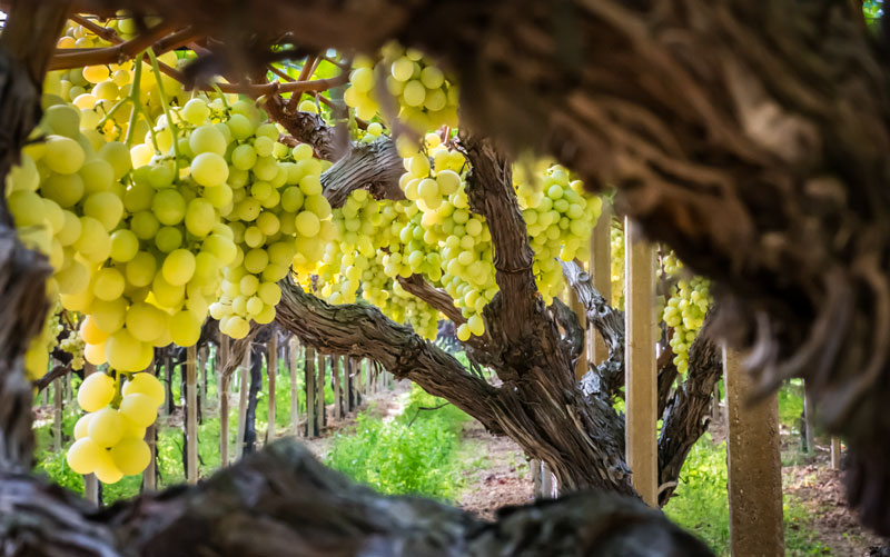 immagine lavoro realizzato per un cliente