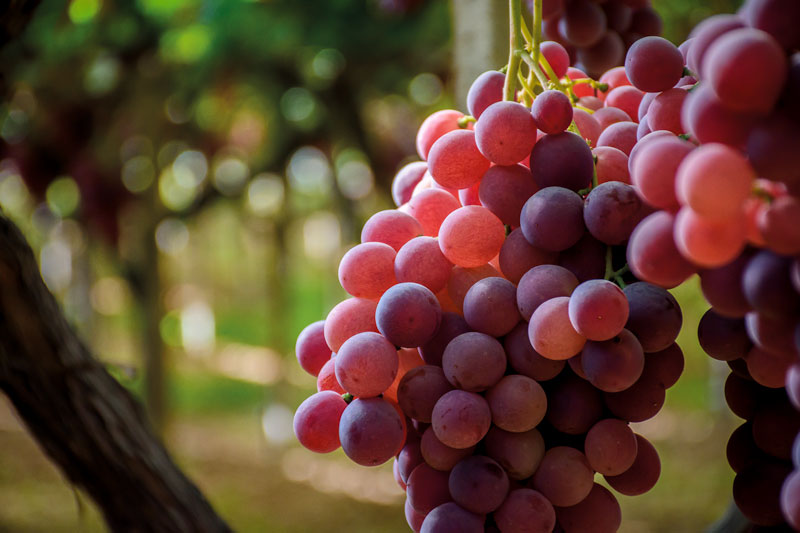 immagine lavoro realizzato per un cliente