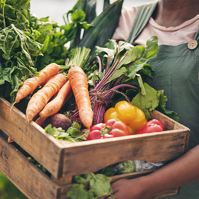 immagine corredo Bioagrimar