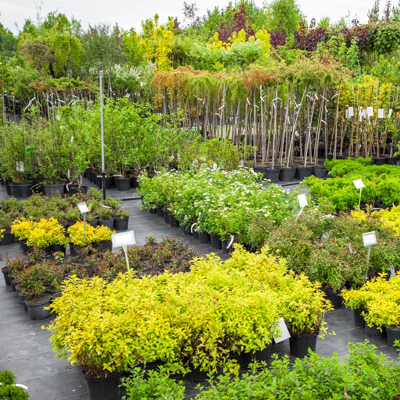 immagine corredo Bioagrimar