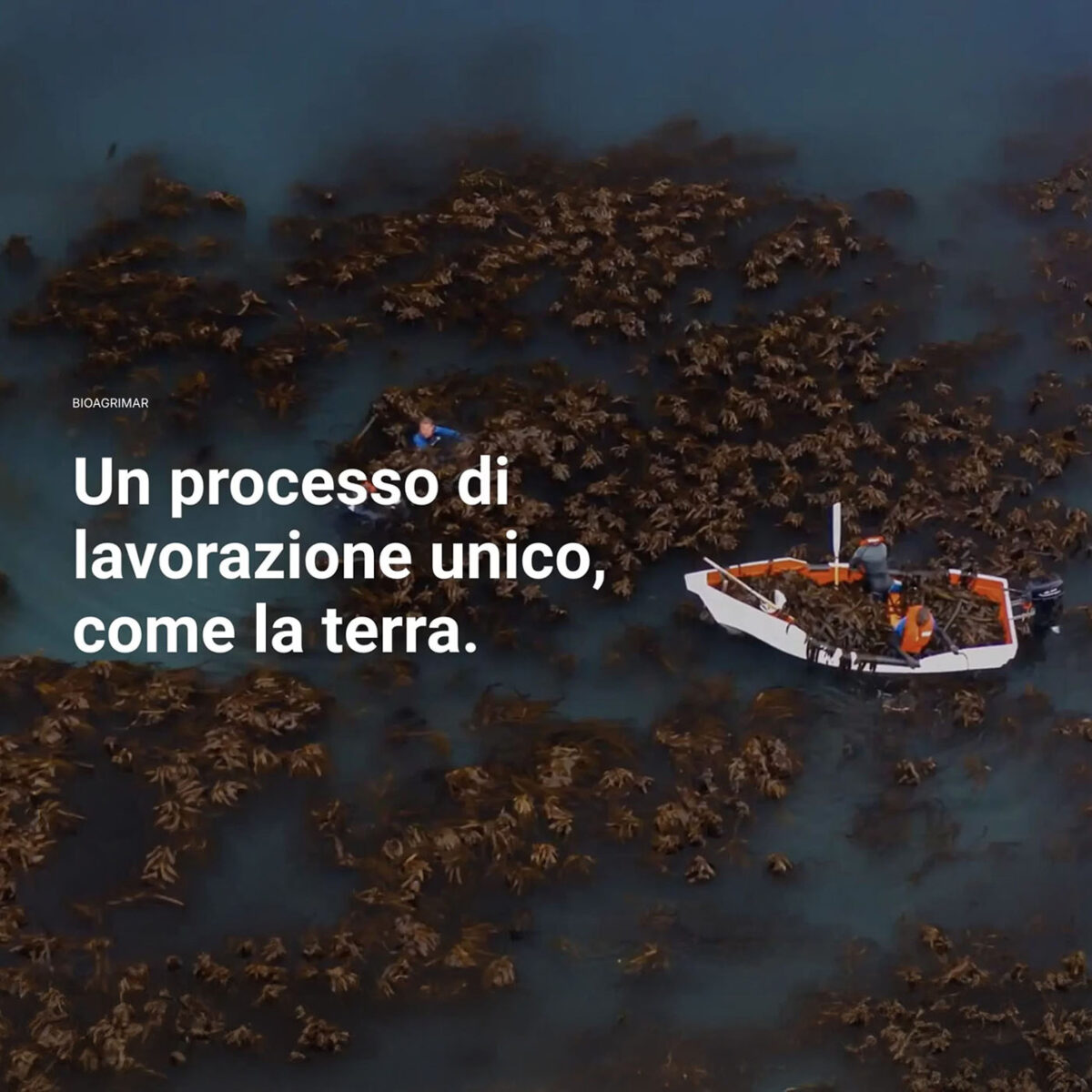 immagine descrittiva azienda Bioagrimar