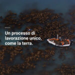 immagine descrittiva azienda Bioagrimar